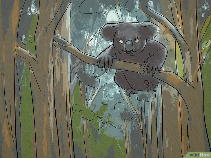 Drop Bear Explained: The Aussie Myth That Keeps Tourists Guessing